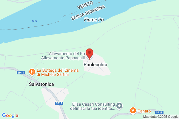 Parrocchetti E Ganbaiani (S.N.C.)