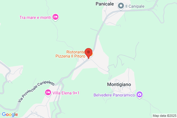 Partito Democratico Della Sinistra