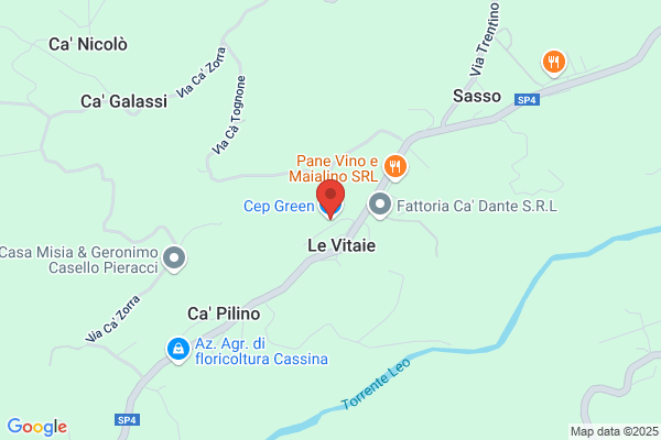 Pezzini ermanno