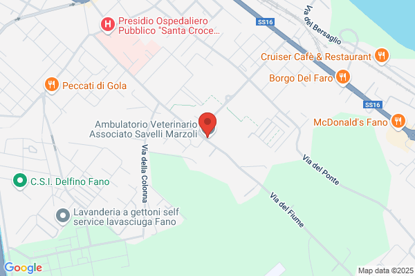 Ambulatorio Veterinario Associato Fattori & Gasparini