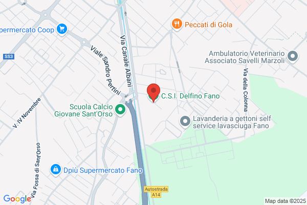 Fano Calcio (S.P.A.)