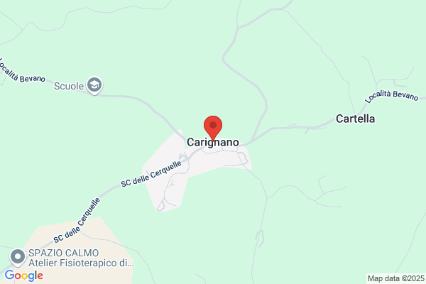 Mea giannino