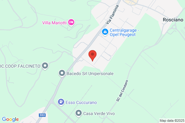 Nuova Carrozzeria Artigiana