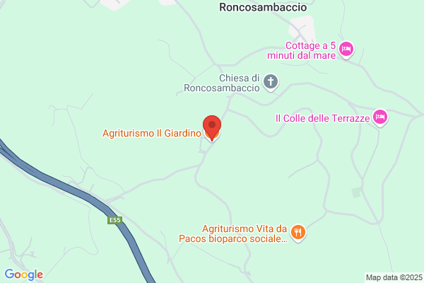 Novi gastone