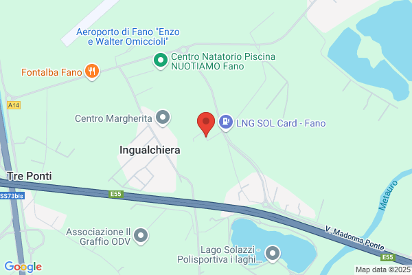 Omiccioli marco