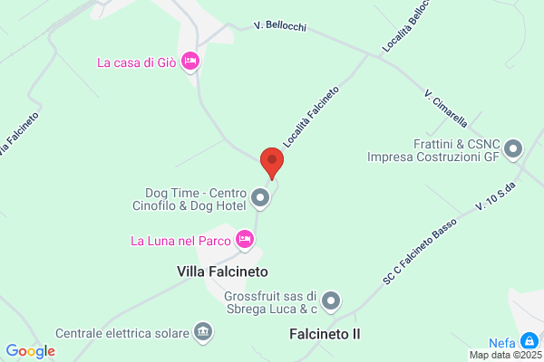 Pucci eugenio (P.A.)