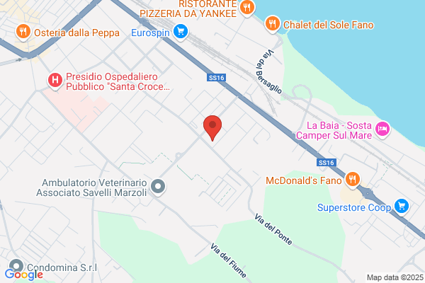 Macelleria Perettini Enzo & C S.N.C.