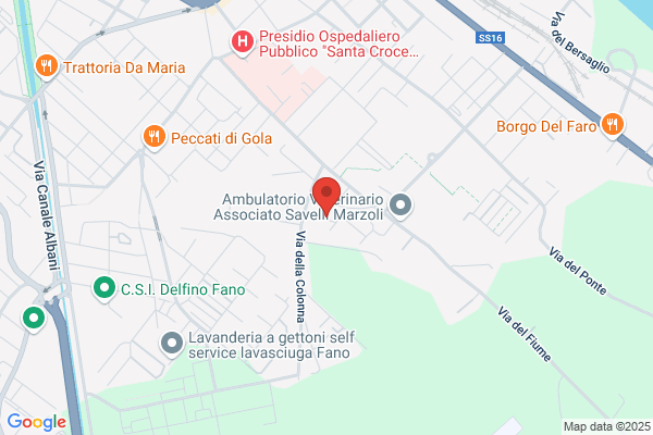 Guescini Massimo (Dr.)
