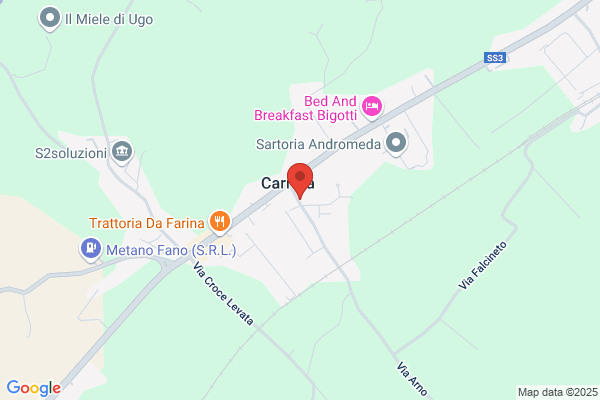 Del Vecchio Mario Autotrasporti e C.