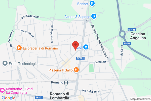 Premoli bruno (Dr.)