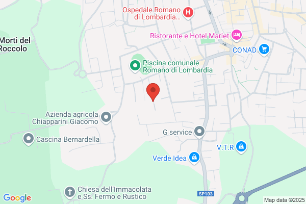 Impresa Scavi Romanesi (S.R.L.)