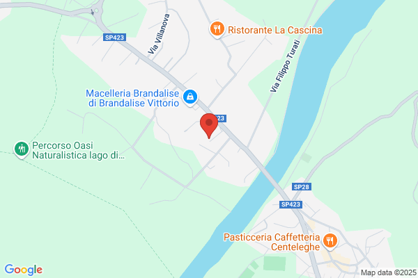 Societa Calvi