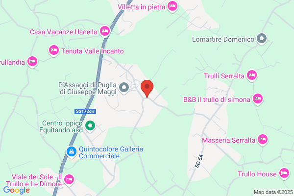 Santoro domenico