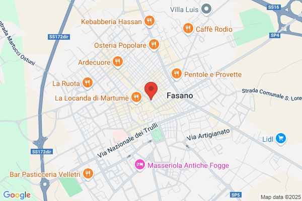 Natola antonella (Dr.)