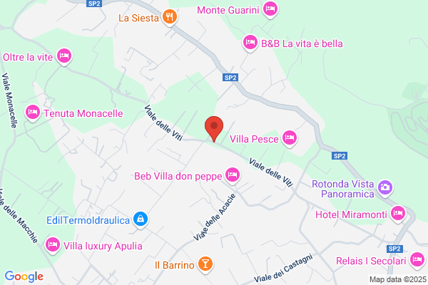 Lisi vito