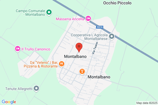 Trisciuzzi tommaso