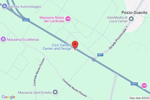 Zizzi francesco