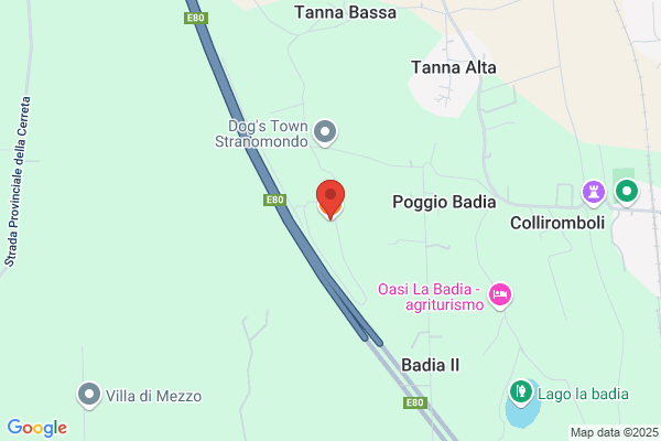 Centro Ippico Pegaso