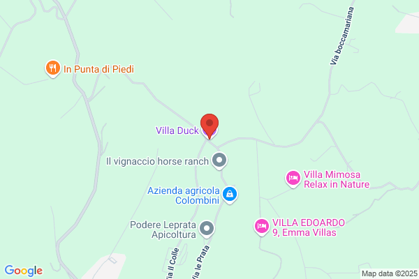 Villa Duck