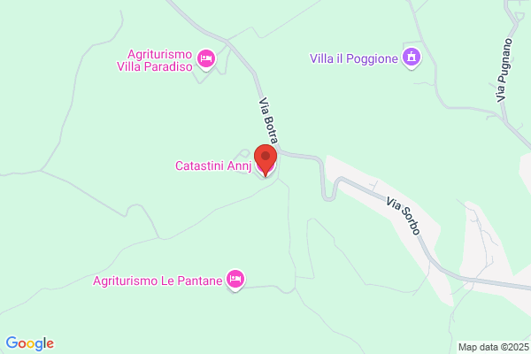 Gambini Adriana