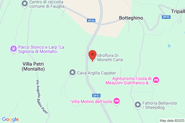Lepori patrizia