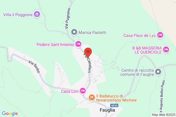 Nencioni massimo