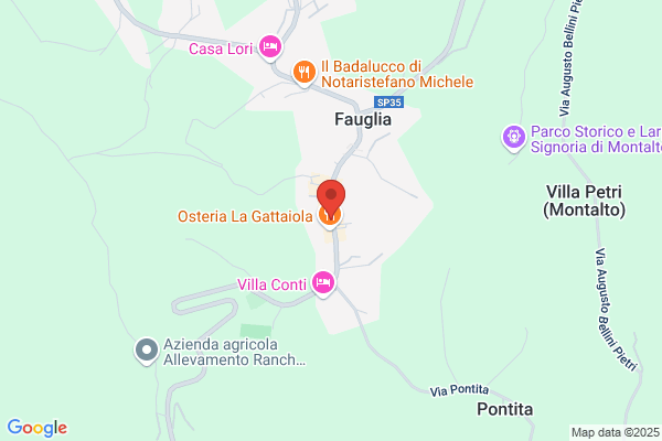 Partito Democratico Della Sinistra