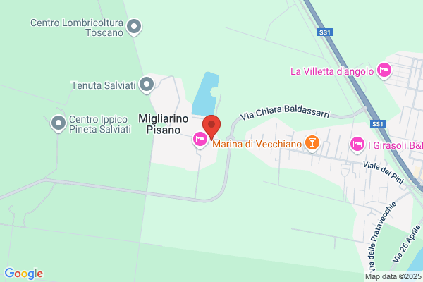 Puccini graziano