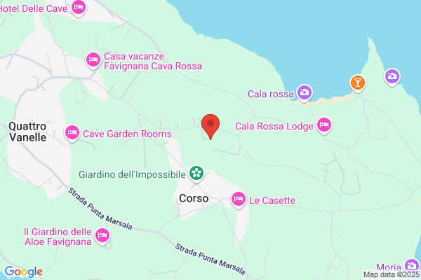 Il corallo rosso