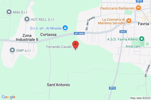 Ferrando Cavalli Di Ferrando Battista Davide