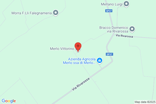 Merlo & Benvenuti S.A.S.
