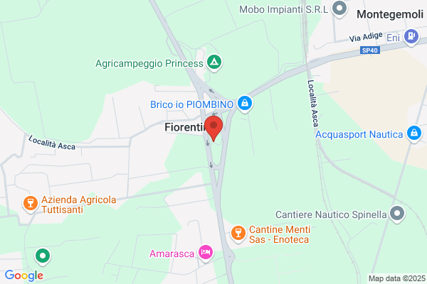Garage Fiorentina Di Cairone A E Cicatelli C sdf