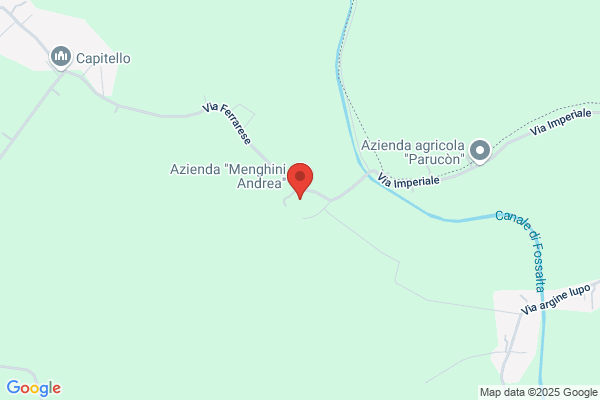 Menghini amedeo (Dr.)