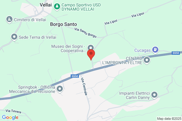 Eccher Domenico (Geom.)