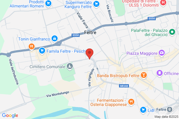 Paludetto enrico