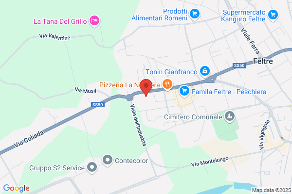 Zago Armando & Figli Di Zago Luigi e Danilo (S.N.C.)