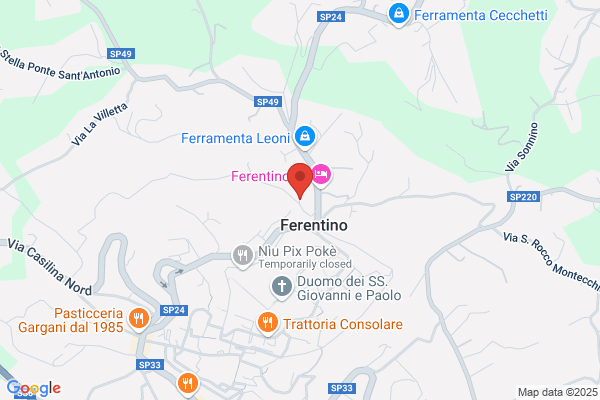 Picchi remo