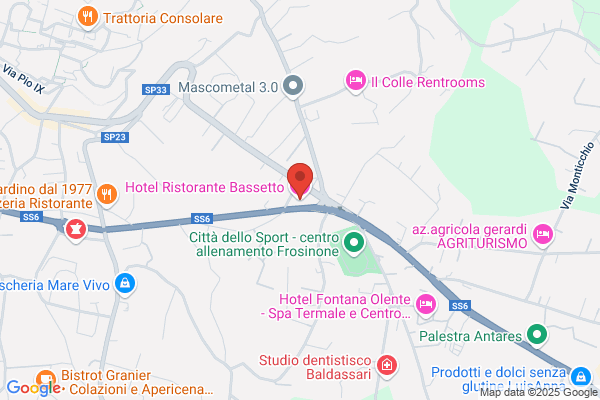 Hotel Ristorante Bassetto