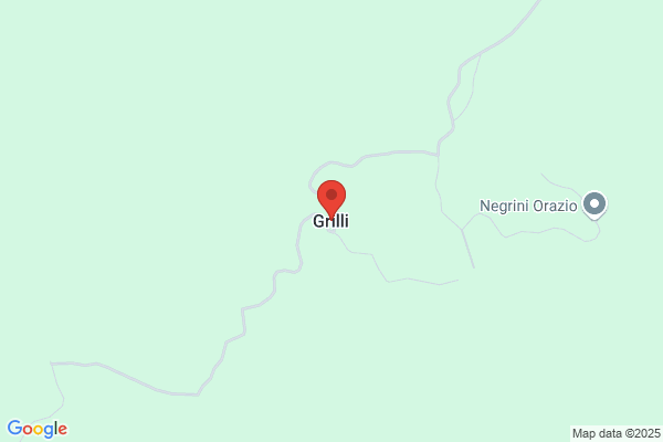 Grilli Tristano