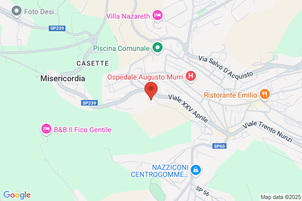 Studio Commerciale Associato Finocchietti L. & Carelli g.