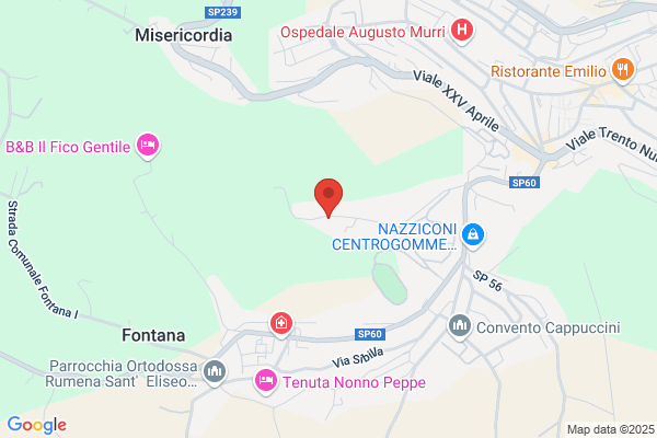 Ponteggi De Carolis Renato