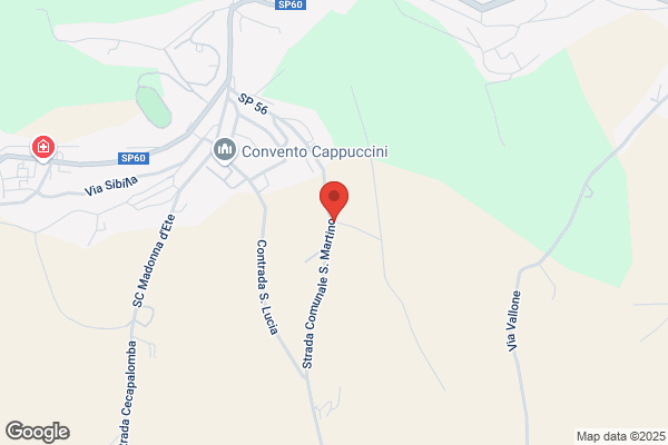 Segoni Luigi & C.