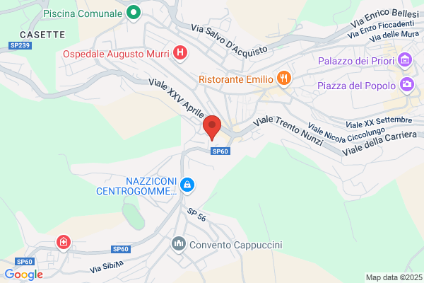 Ambulatorio Veterinario Pallottini