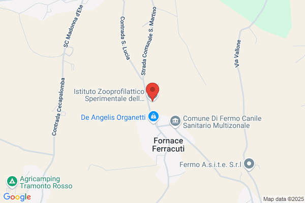 Istituto Zooprofilattico Sperimentale Dellumbria E Delle/// ( marche)