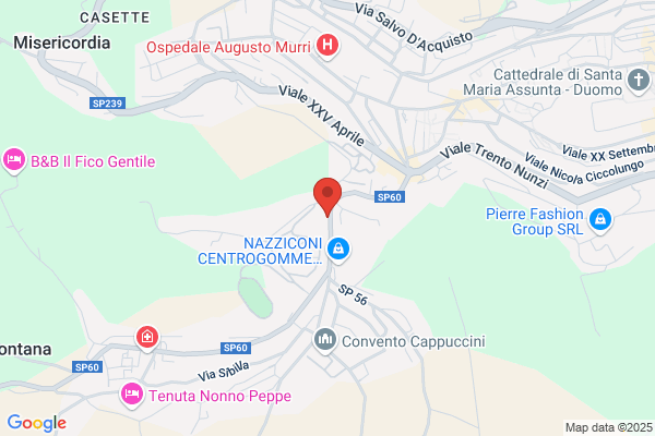 Trasatti giuseppe