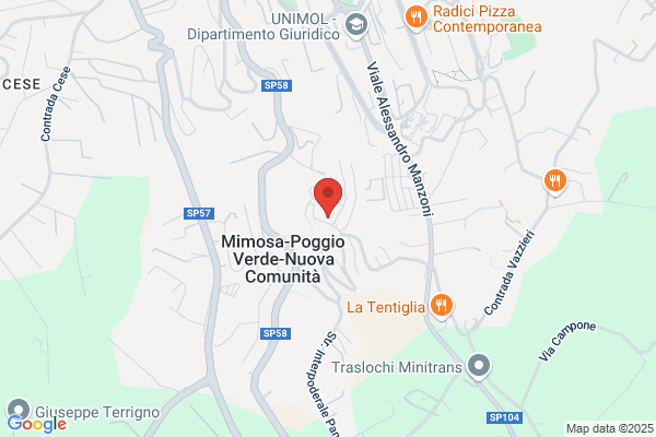 Pizza Village