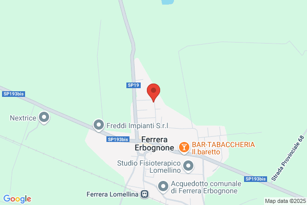 Fonso Angelo