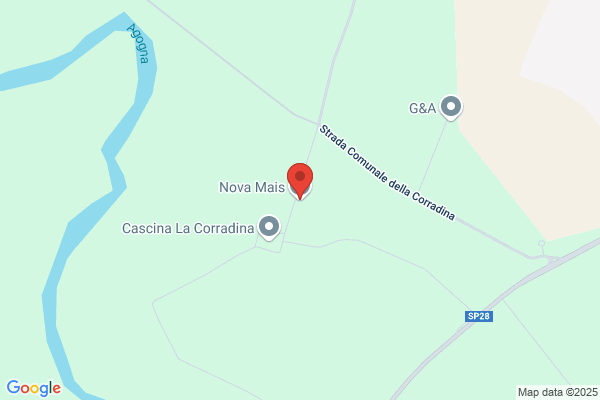 Manazza alberto (Dr.)