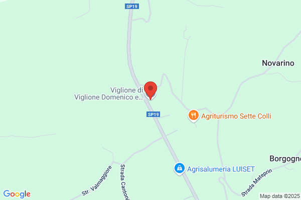 Viglione Di Viglione Domenico E Giuseppe (S.N.C.)