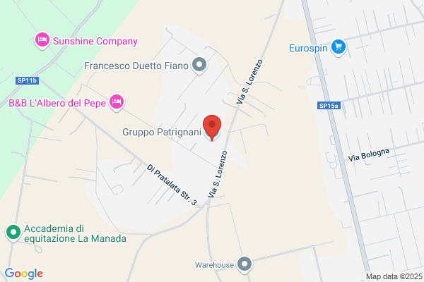 Patrignani anna